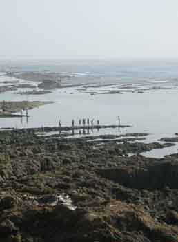 Asilha