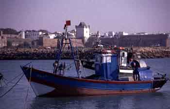 Asilha
