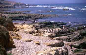 Asilha