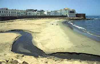 Asilha