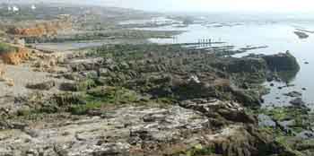 DSCN0166